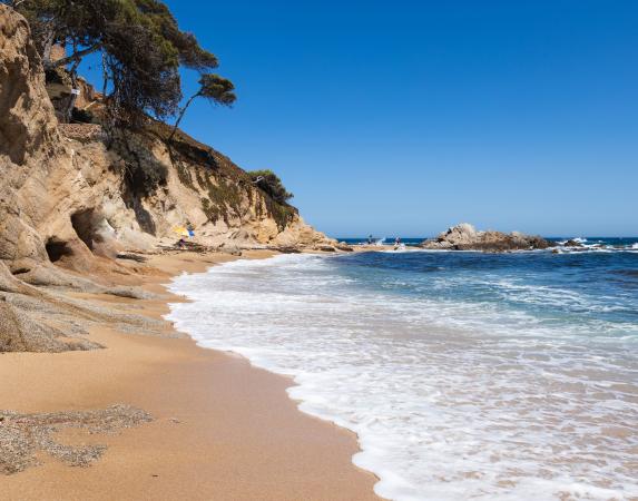 Calas y playas